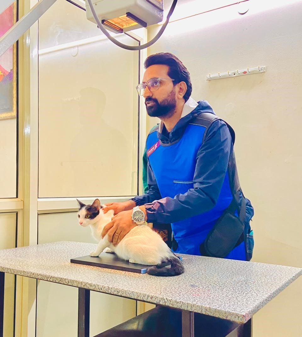 Consultation Room at Blue Coat Vet Sushant Lok